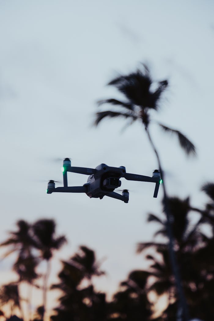 Drone and Palm Trees behind